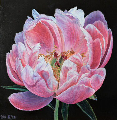 Peony on black Peinture intitulée "Peony on black" par Sergey Suslov, Œuvre d'art originale, Huile Monté sur Châssis en bois