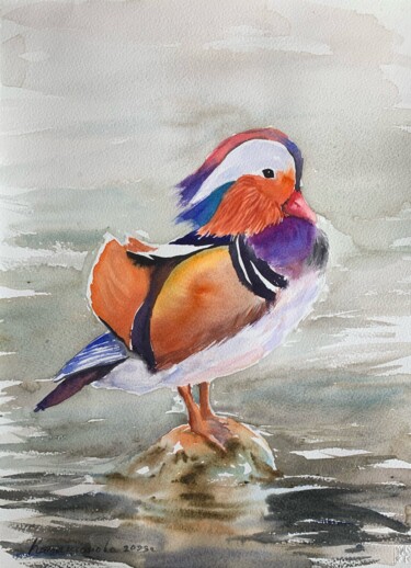 Painting titled "Aix galericulata" by Daria Kamishanova, Original Artwork, Watercolor