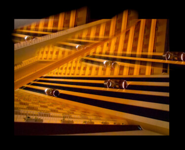 Transmissions Photographie intitulée "Transmissions" par Chryslene Caillaud, Œuvre d'art originale, Photographie numérique