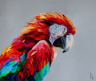 Macaw