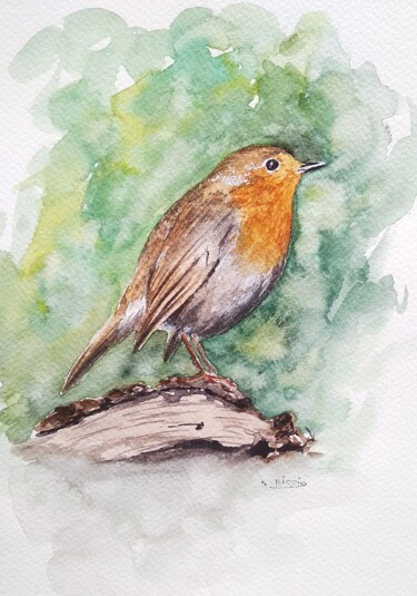 Painting titled "Rouge gorge #2" by Sabrina Riggio, Original Artwork, Watercolor