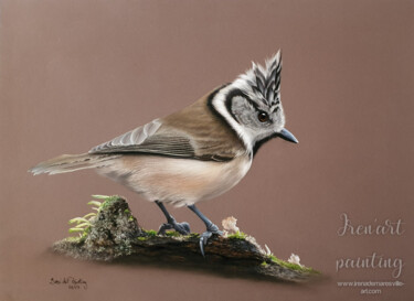 Peinture intitulée "La Demoiselle Huppée" par Iren'Art Painting, Œuvre d'art originale, Pastel