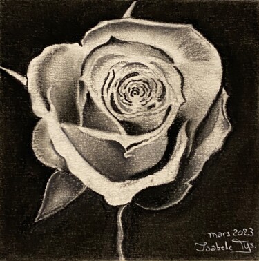 "Rose" başlıklı Resim Isabelle Tysiac tarafından, Orijinal sanat, Pastel