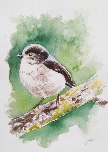 Mésange à longue queue Painting titled "Mésange à longue qu…" by Sabrina Riggio, Original Artwork, Watercolor