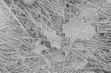 Dessin intitulée "Prairie" par Sylvie Bayard (Sylvestre), Œuvre d'art originale, Crayon