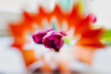 Fotografie getiteld "Tulips" door Anna Sowinska, Origineel Kunstwerk, Digitale fotografie