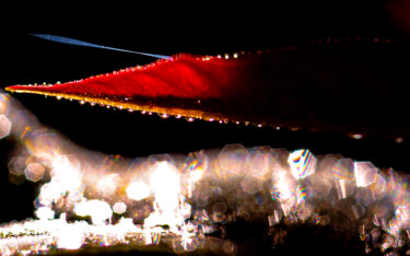 Photography titled "Dew" by Sergio Assis, Original Artwork, Non Manipulated Photography
