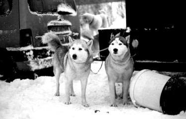 Photography titled "waiting for run" by Magda Durda, Original Artwork, Non Manipulated Photography