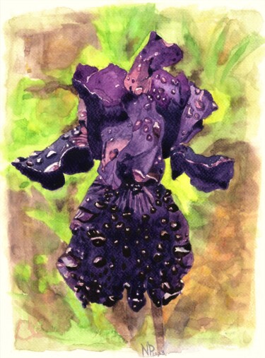 IRIS SOUS LA PLUIE Painting titled "IRIS SOUS LA PLUIE" by Nives Palmić, Original Artwork, Watercolor