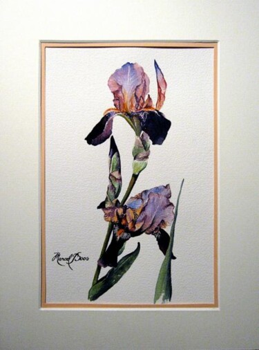 Peinture intitulée "Iris" par Marcel Boos, Œuvre d'art originale