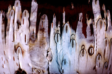 Fotografie getiteld "Secrets des écorces" door Jean-Claude Mathier, Origineel Kunstwerk, Film fotografie