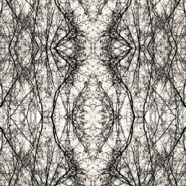 Photography titled "Mère Nature, numéro…" by Aurélia Cheret, Original Artwork, Digital Photography