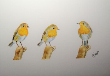 Peinture intitulée "Piscos de Peito Rui…" par Inês Dourado, Œuvre d'art originale, Aquarelle