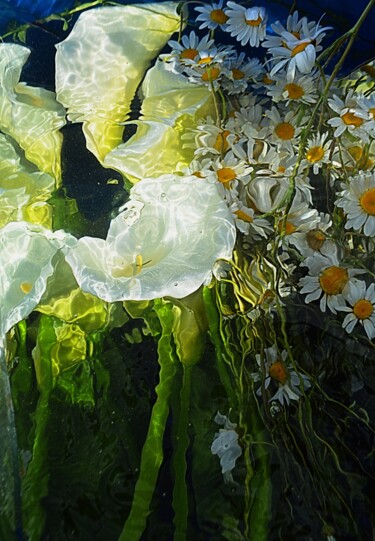 제목이 "arums    et quelque…"인 사진 Aquartistiq로, 원작, 디지털