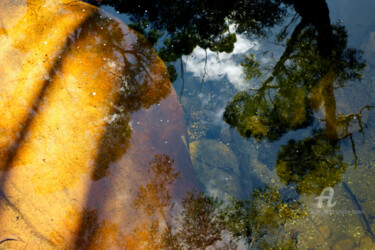 Rock pool reflection - Sydney - Australia 摄影 标题为“Rock pool reflectio…” 由Scott Gregory Banner, 原创艺术品, 数码摄影