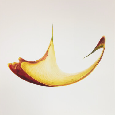 Photographie intitulée "Zantedeschia Warp" par Crosby, Œuvre d'art originale, Photographie numérique