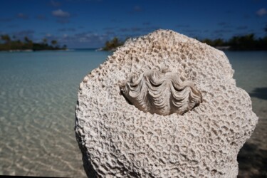 Photography titled "bénitier" by François Carage, Original Artwork, Non Manipulated Photography