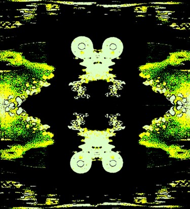 Frog Contemplating Himself in a Pond 1a 摄影 标题为“Frog Contemplating…” 由Ken Lerner, 原创艺术品, 数码摄影