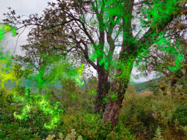 Photographie intitulée "Arbre vibrant" par Véronique Jaques, Œuvre d'art originale, Photographie manipulée