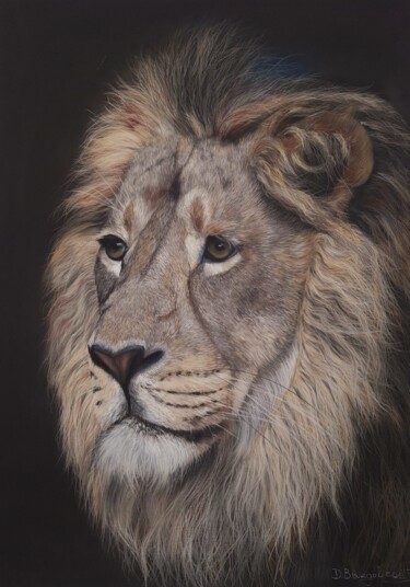 ''The King'' pastel lion portrait on paper Schilderij getiteld "''The King'' pastel…" door Deimante Bruzguliene, Origineel Kunstwerk, Pastel
