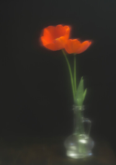 摄影 标题为“tulips in a decanter” 由Boris Belkania, 原创艺术品, 数码摄影