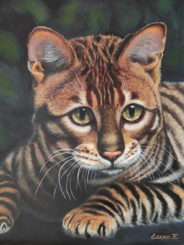 Toyger cat "Toyger cat" başlıklı Tablo Elena Kozyutenko tarafından, Orijinal sanat, Petrol Ahşap Sedye çerçevesi üzerine monte edilmiş