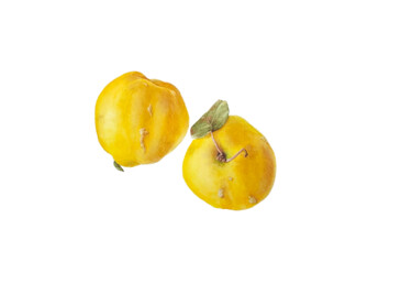 绘画 标题为“Quinces” 由Alla Rasskazova, 原创艺术品, 水彩
