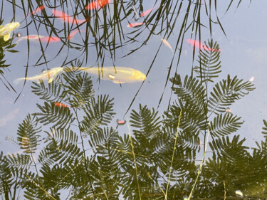 摄影 标题为“Décor poissonneux” 由Jean-Claude Mathier, 原创艺术品, 数码摄影