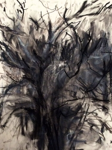 图画 标题为“Winter tree i” 由Fatima Fernandes, 原创艺术品, 木炭