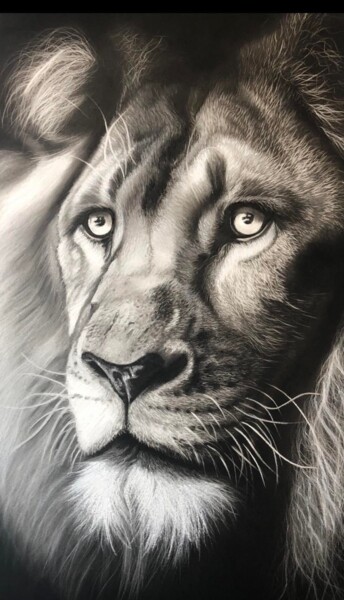 绘画 标题为“Le lion 2” 由Christel David, 原创艺术品, 粉彩