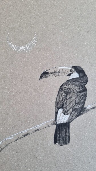 Dessin intitulée "Toucan" par Baldassa, Œuvre d'art originale, Marqueur