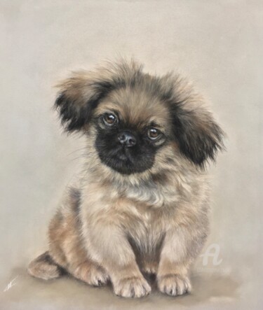 Pekingese 图画 标题为“Pekingese” 由Irene_art, 原创艺术品, 粉彩