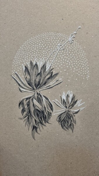 Dessin intitulée "Nature colombienne" par Baldassa, Œuvre d'art originale, Marqueur