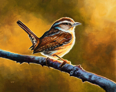 Carolina wren bird at sunset Peinture intitulée "Carolina wren bird…" par Lucia Verdejo, Œuvre d'art originale, Huile Monté sur Panneau de bois