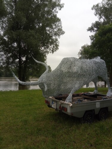 제목이 "Gray cattle bull"인 조형물 Komaromi Laszlo로, 원작, 금속