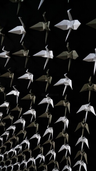 Photographie intitulée "Origami Extinction…" par Vethan Sautour, Œuvre d'art originale, Photographie numérique Monté sur Pan…