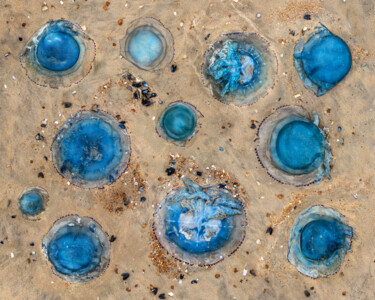 The World From Above - Blue Halos - Special Edition - 1/10 Fotografie getiteld "The World From Abov…" door Werner Roelandt, Origineel Kunstwerk, Digitale fotografie Gemonteerd op Alum…