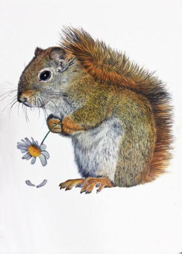 Dibujo titulada "Ardilla enamorada" por Txuscuende, Obra de arte original, Lápiz Montado en Otro panel rígido