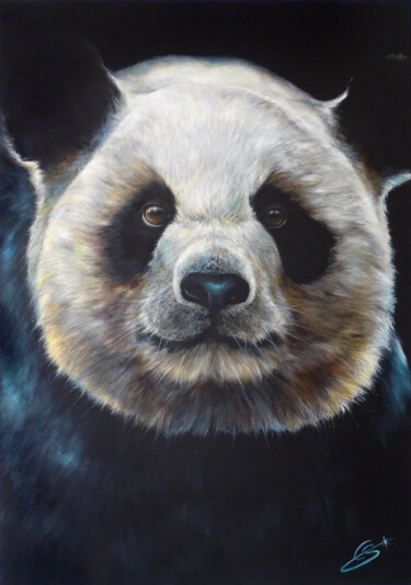 Giant Panda