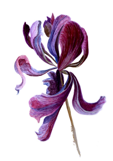 "Last beauty" Painting titled ""Last beauty"" by Tetiana Teresh, Original Artwork, Watercolor
