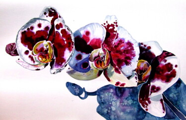 Painting titled "Orchid floral" by Anna Brigitta Kovacs (KAB), Original Artwork, Watercolor