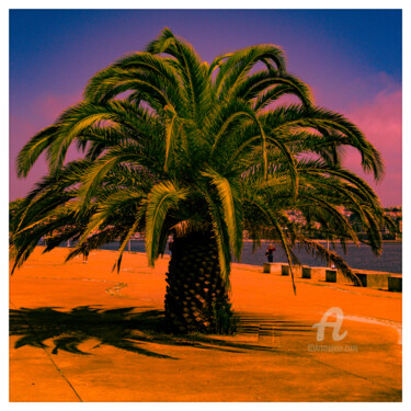Photographie intitulée "Retro tree, toxic t…" par Nicolas-Monk.Gd, Œuvre d'art originale, Photographie numérique