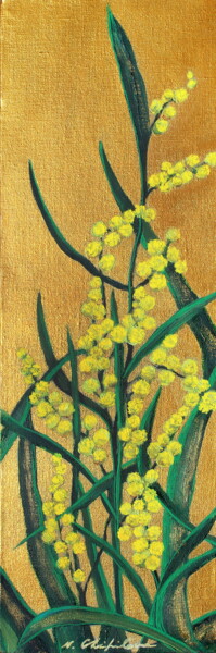 Mimosa, 60x20cm