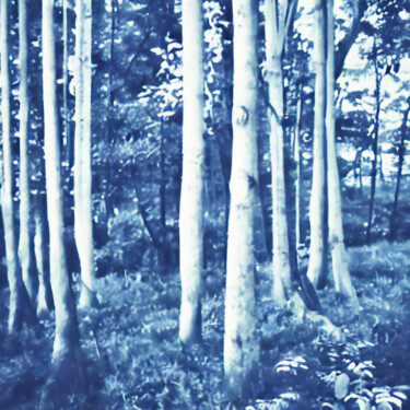 Digital Arts titled "blue forest" by Josep Domènech, Original Artwork, AI generated image Mounted on Cardboard