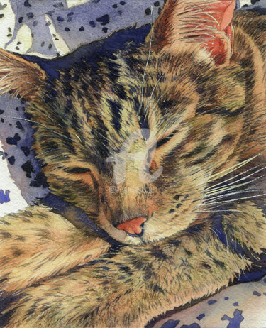 绘画 标题为“CAT BELLA” 由Alina Shangina, 原创艺术品, 水彩
