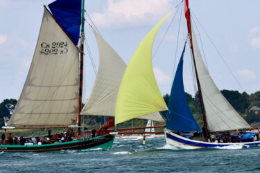 Joute nautique, Semaine du golfe 2023 Photographie intitulée "Joute nautique, Sem…" par Pierre-Yves Rospabé, Œuvre d'art originale, Photographie non manipulée