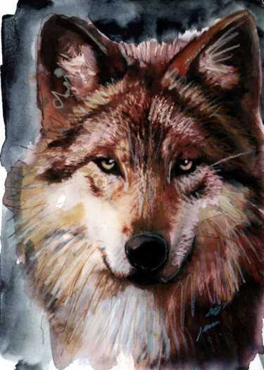 绘画 标题为“wolf12” 由Jena Polak, 原创艺术品, 水彩