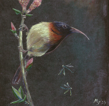 绘画 标题为“Bird. Fork-tailed S…” 由Mariya Smirnova, 原创艺术品, 丙烯