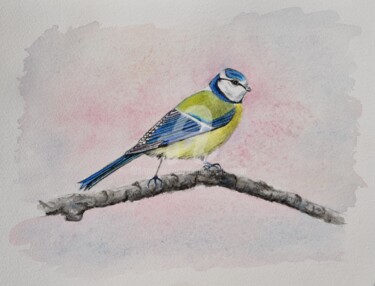 Peinture intitulée "La mésange bleue" par Marie-Noëlle Amiot, Œuvre d'art originale, Aquarelle