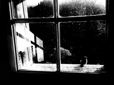 Photographie intitulée "PLEINE LUNE" par Solune, Œuvre d'art originale, Photographie numérique